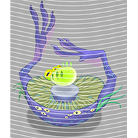 Cartoons and other-CO 2983